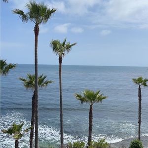 Meet your Posher, Bella